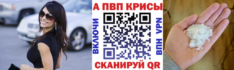 kraken как зайти  Урюпинск  дарк нет как зайти  Alpha-PVP крисы CK 