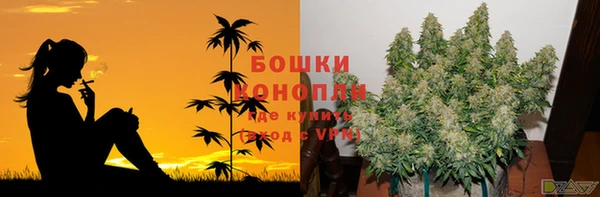 прущие крисы Балабаново