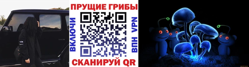 Галлюциногенные грибы прущие грибы  Урюпинск 